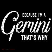 Because Im A Gemini Zodiac Sign Gemini Birthday Design T-Shirt