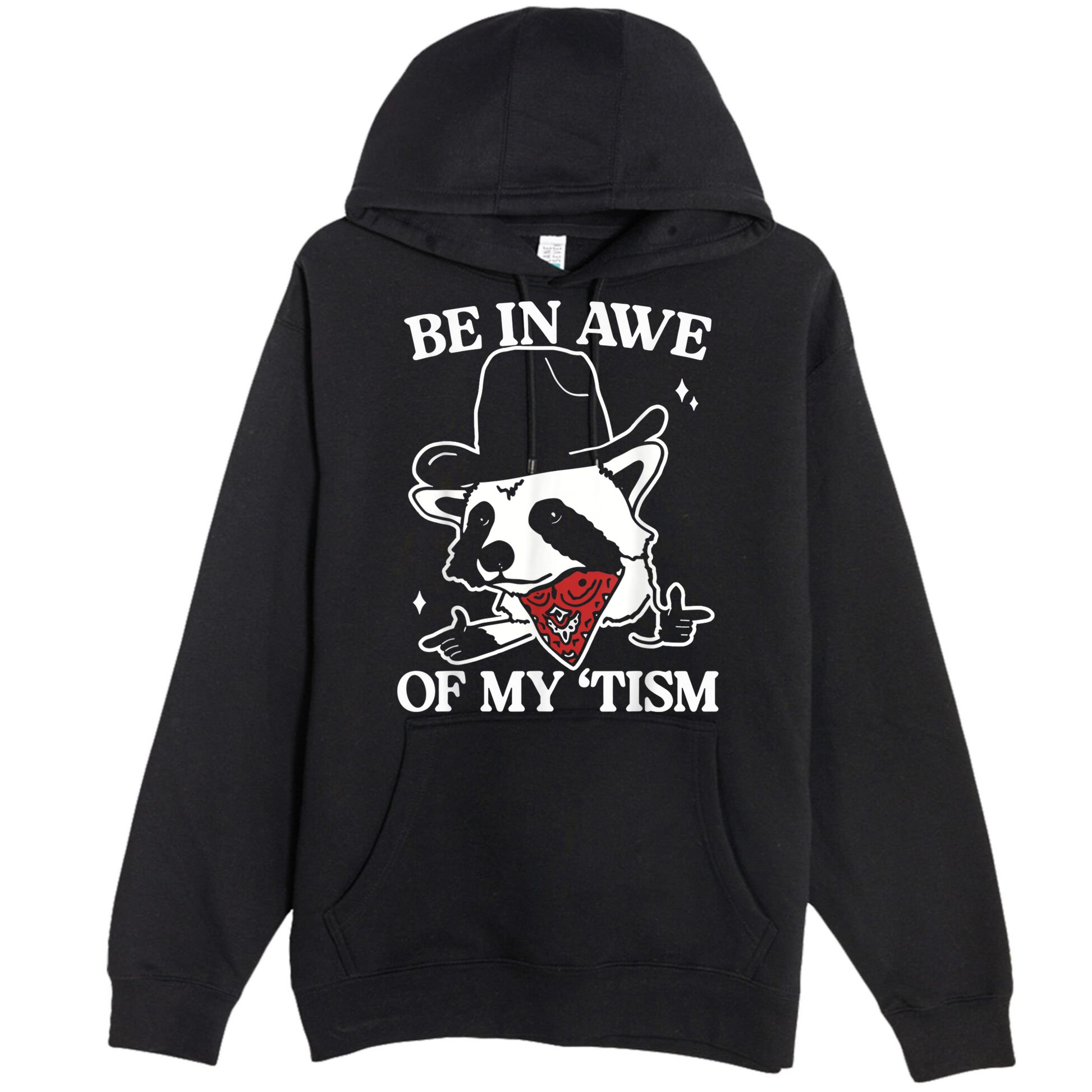Be In Awe Of My Tism Retro Style Premium Pullover Hoodie