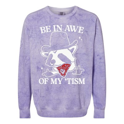 Be In Awe Of My Tism Retro Style Colorblast Crewneck Sweatshirt