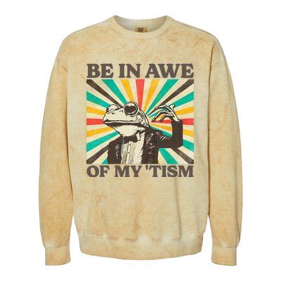 Be In Awe Of My Tism Retro Funny Frog Autism Colorblast Crewneck Sweatshirt