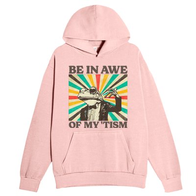 Be In Awe Of My Tism Retro Funny Frog Autism Urban Pullover Hoodie