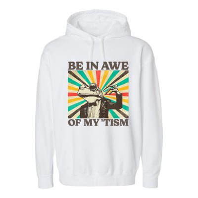 Be In Awe Of My Tism Retro Funny Frog Autism Garment-Dyed Fleece Hoodie