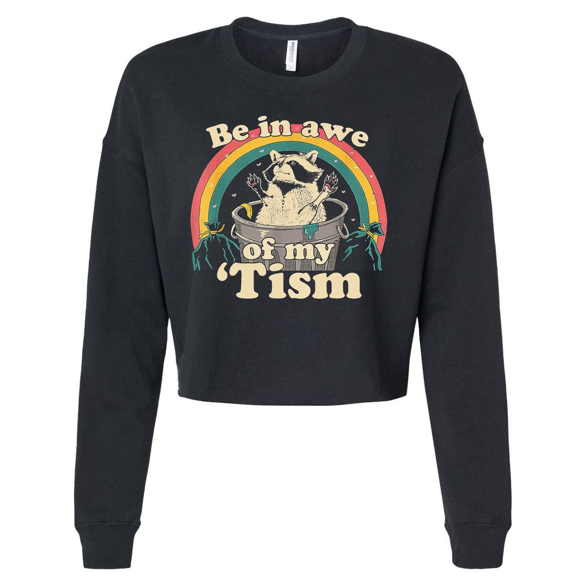 Be In Awe Of My Tism Raccoon Cropped Pullover Crew