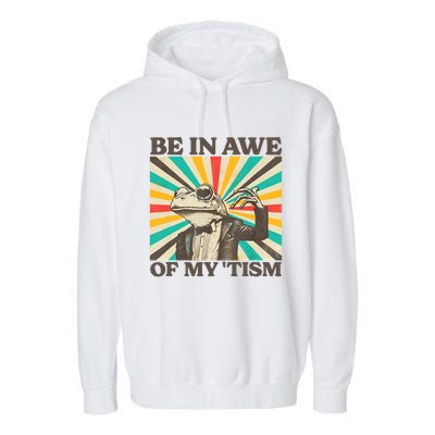 Be In Awe Of My Tism Retro Funny Frog Autism Garment-Dyed Fleece Hoodie