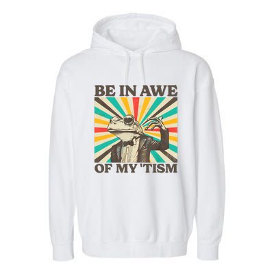 Be In Awe Of My Tism Retro Funny Frog Autism Garment-Dyed Fleece Hoodie