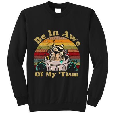 Be In Awe Of My Tism Raccoon Trash Pandas Autistic Sweatshirt