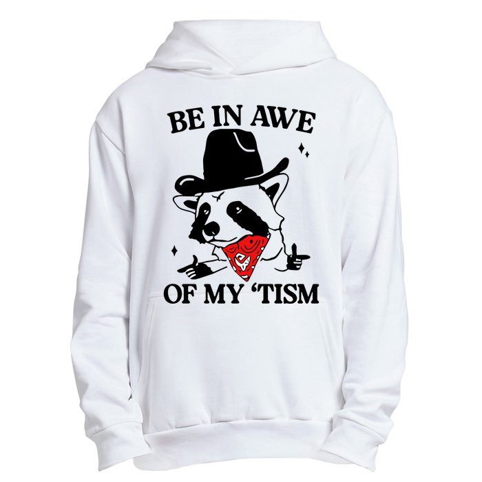 Be In Awe Of My Tism Retro Style Urban Pullover Hoodie