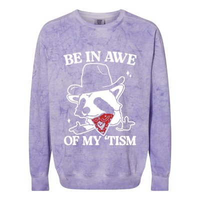 Be In Awe Of My Tism Funny Racoon Meme Retro Colorblast Crewneck Sweatshirt