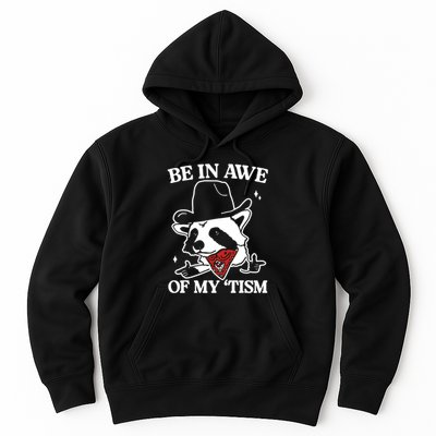 Be In Awe Of My Tism Funny Racoon Meme Retro Hoodie