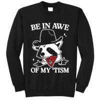 Be In Awe Of My Tism Funny Racoon Meme Retro Sweatshirt