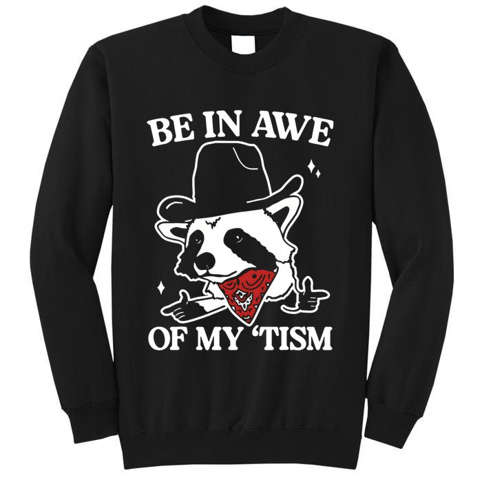 Be In Awe Of My Tism Funny Racoon Meme Retro Sweatshirt