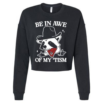 Be In Awe Of My Tism Funny Racoon Meme Retro Cropped Pullover Crew