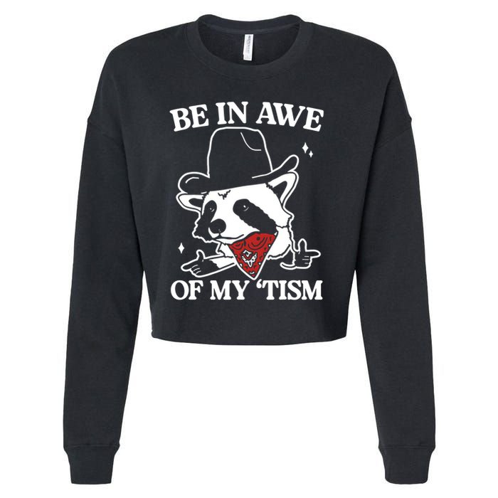 Be In Awe Of My Tism Funny Racoon Meme Retro Cropped Pullover Crew