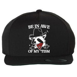 Be In Awe Of My Tism Funny Racoon Meme Retro Wool Snapback Cap