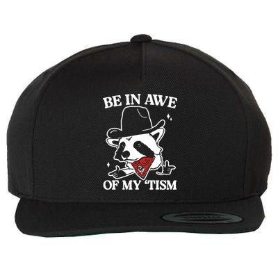 Be In Awe Of My Tism Funny Racoon Meme Retro Wool Snapback Cap