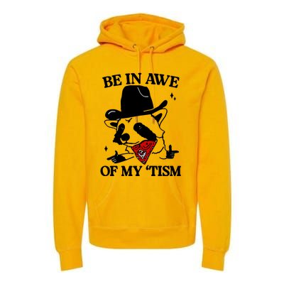 Be In Awe Of My Tism Premium Hoodie