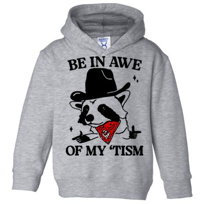 Be In Awe Of My Tism Toddler Hoodie
