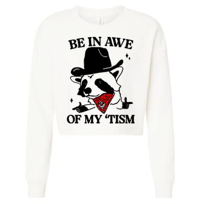 Be In Awe Of My Tism Cropped Pullover Crew