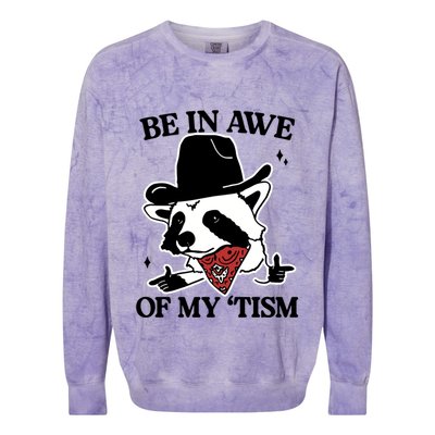Be In Awe Of My Tism Funny Racoon Meme Retro Colorblast Crewneck Sweatshirt