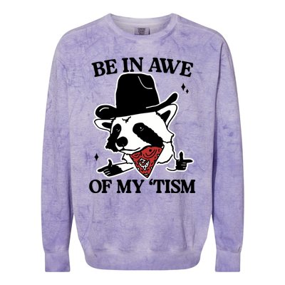 Be In Awe Of My Tism Funny Racoon Meme Retro Colorblast Crewneck Sweatshirt