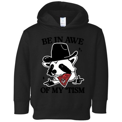 Be In Awe Of My Tism Funny Racoon Meme Retro Toddler Hoodie