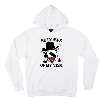 Be In Awe Of My Tism Funny Racoon Meme Retro Hoodie