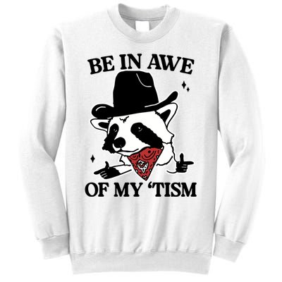 Be In Awe Of My Tism Funny Racoon Meme Retro Sweatshirt