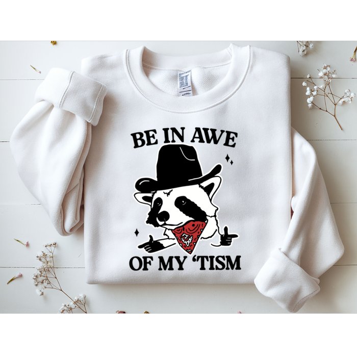 Be In Awe Of My Tism Funny Racoon Meme Retro Sweatshirt