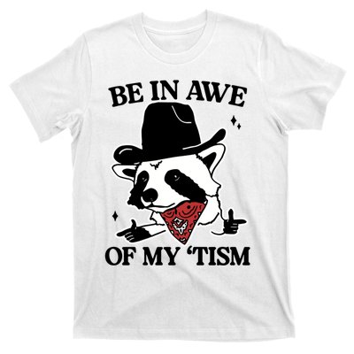 Be In Awe Of My Tism Funny Racoon Meme Retro T-Shirt