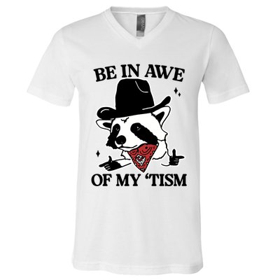 Be In Awe Of My Tism Funny Racoon Meme Retro V-Neck T-Shirt