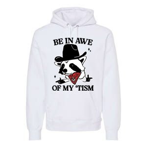 Be In Awe Of My Tism Funny Racoon Meme Retro Premium Hoodie