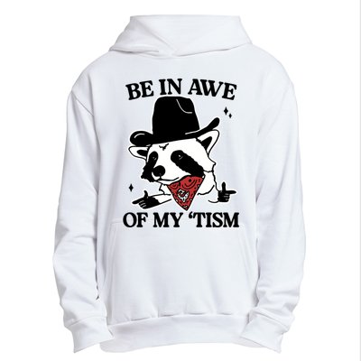 Be In Awe Of My Tism Funny Racoon Meme Retro Urban Pullover Hoodie