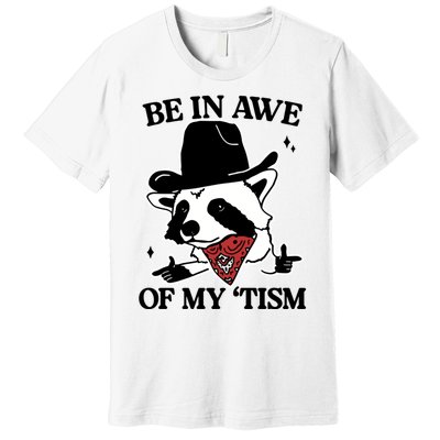 Be In Awe Of My Tism Funny Racoon Meme Retro Premium T-Shirt