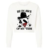 Be In Awe Of My Tism Funny Racoon Meme Retro Cropped Pullover Crew