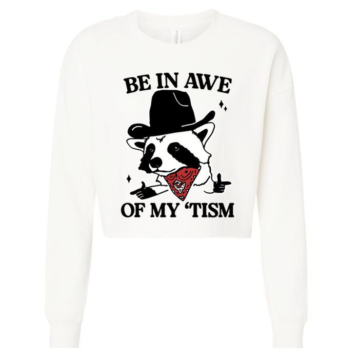 Be In Awe Of My Tism Funny Racoon Meme Retro Cropped Pullover Crew