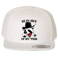 Be In Awe Of My Tism Funny Racoon Meme Retro Wool Snapback Cap