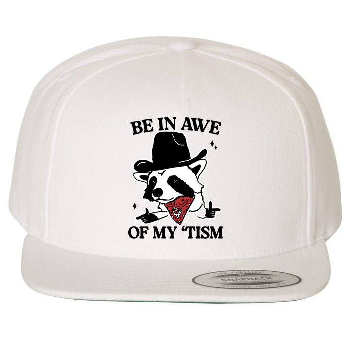Be In Awe Of My Tism Funny Racoon Meme Retro Wool Snapback Cap