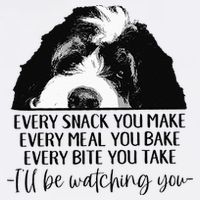 Bernedoodle Ill Be Watching You Bernedoodle Dog Lovers Gift Bucket Hat