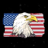 Bald Is Beautiful 4th Of July Independence Day Bald Eagle 16oz Travel Tumbler