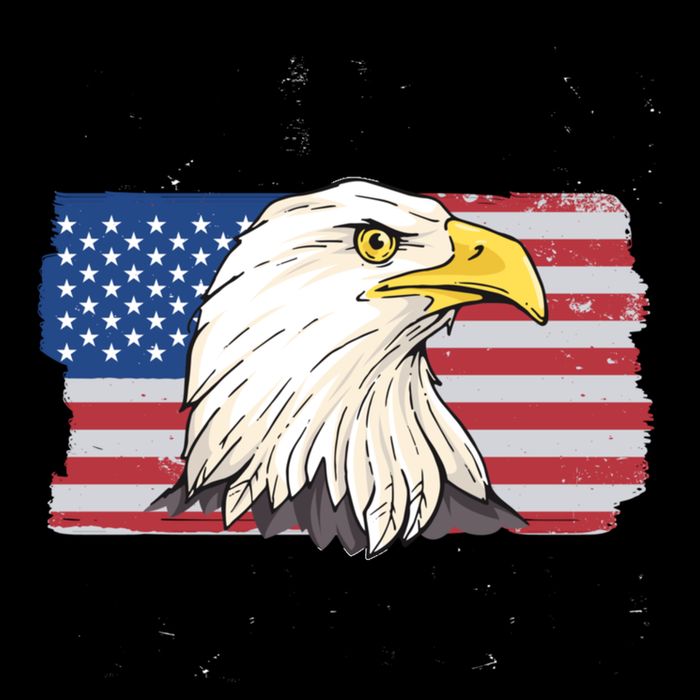 Bald Is Beautiful 4th Of July Independence Day Bald Eagle 16oz Travel Tumbler