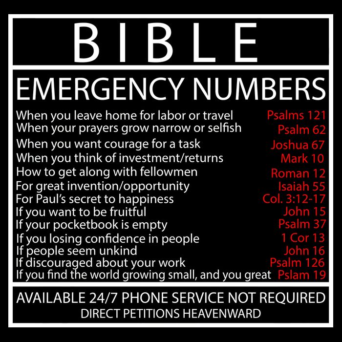 Bible Emergency Hotline Numbers Cropped Pullover Crew