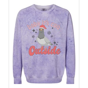 Baby ItS Coo Outside Funny Bird Nerd Christmas Colorblast Crewneck Sweatshirt