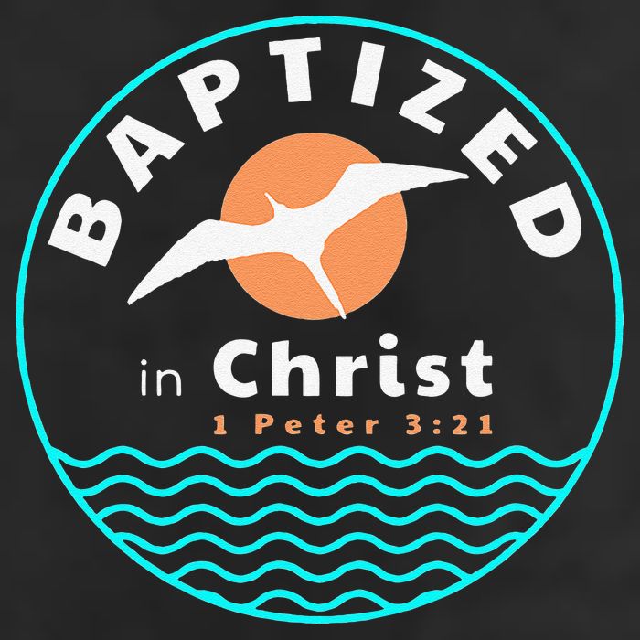 Baptized In Christ Christian Adult Baptism Adult Drive Performance Visor