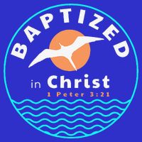 Baptized In Christ Christian Adult Baptism Kids T-Shirt