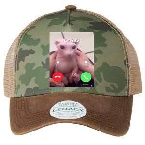 Bingus Is Calling My Beloved Hairless Sphinx Cat Gift Legacy Tie Dye Trucker Hat