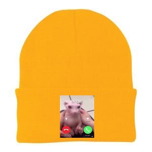 Bingus Is Calling My Beloved Hairless Sphinx Cat Gift Knit Cap Winter Beanie