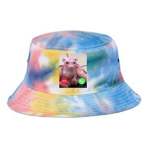 Bingus Is Calling My Beloved Hairless Sphinx Cat Gift Tie Dye Newport Bucket Hat