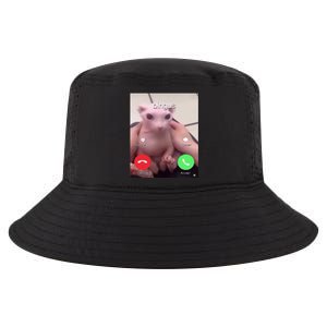 Bingus Is Calling My Beloved Hairless Sphinx Cat Gift Cool Comfort Performance Bucket Hat