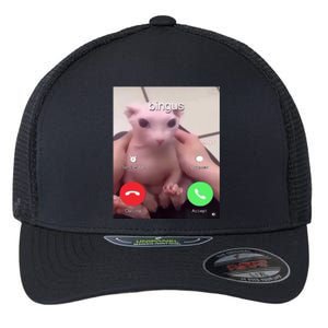 Bingus Is Calling My Beloved Hairless Sphinx Cat Gift Flexfit Unipanel Trucker Cap