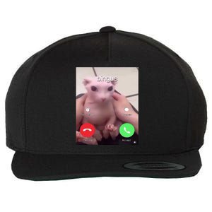 Bingus Is Calling My Beloved Hairless Sphinx Cat Gift Wool Snapback Cap